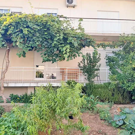 Apartamento Petra *
